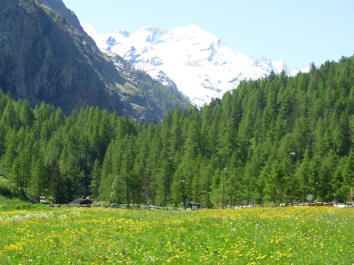 Le Vieux Rascard Lägenhet Cogne Exteriör bild